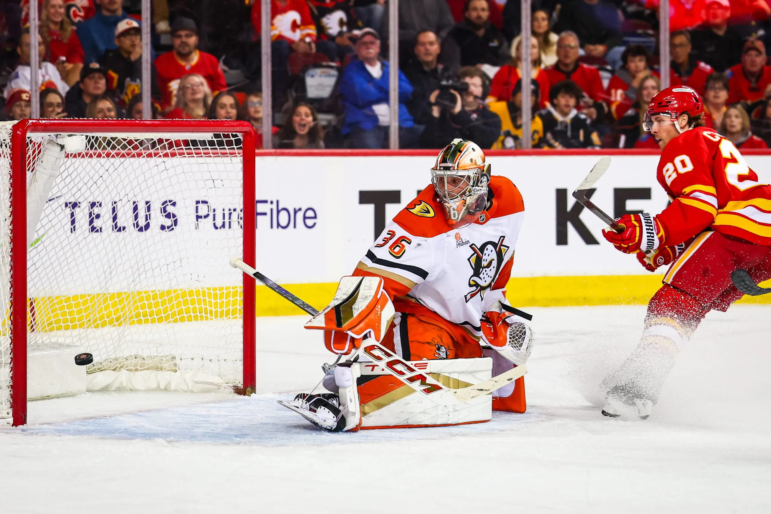 Red Wings Dapatkan Penjaga Gawang John Gibson dari Ducks: Laporan